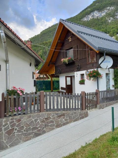 Apartmaji Bohinj Εξωτερικό φωτογραφία